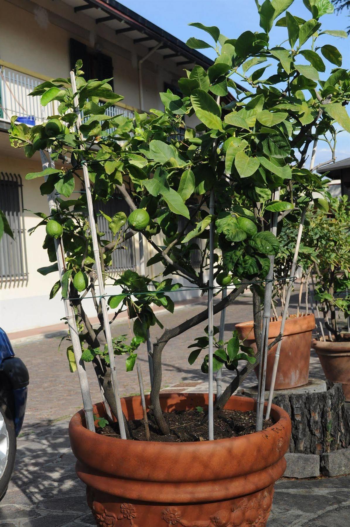 Marinetta Bed & Breakfast Signa Exterior foto